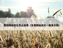 惠阳网站优化怎么收费（东莞网站优化一般多少钱）