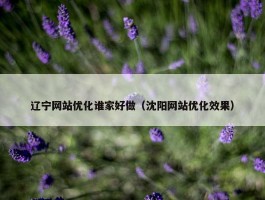 辽宁网站优化谁家好做（沈阳网站优化效果）