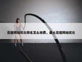 百度网站优化排名怎么收费，最火百度网站优化