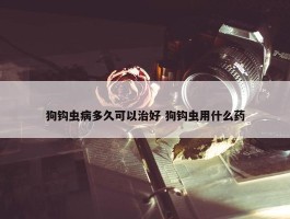 狗钩虫病多久可以治好 狗钩虫用什么药