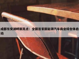 成都东安湖畔新亮点：全国首家新能源汽车商业综合体启动