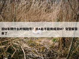 浙M车牌什么时候放号？浙A能不能换成浙M？交警解答来了