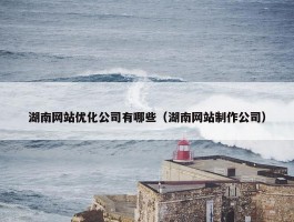 湖南网站优化公司有哪些（湖南网站制作公司）