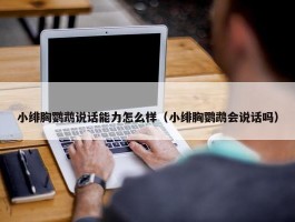 小绯胸鹦鹉说话能力怎么样（小绯胸鹦鹉会说话吗）