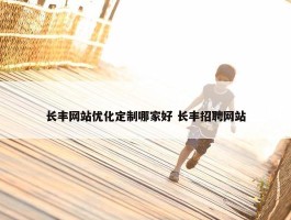 长丰网站优化定制哪家好 长丰招聘网站