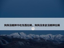 狗狗没精神不吃东西拉稀，狗狗没食欲没精神拉稀