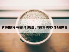 新京报新媒体的微博谁运营，新京报微博为什么被禁言