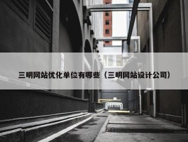 三明网站优化单位有哪些（三明网站设计公司）