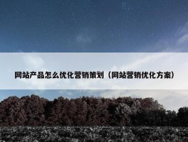 网站产品怎么优化营销策划（网站营销优化方案）