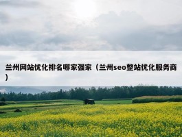 兰州网站优化排名哪家强家（兰州seo整站优化服务商）