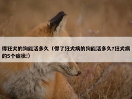 得狂犬的狗能活多久（得了狂犬病的狗能活多久?狂犬病的5个症状!）