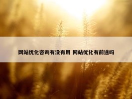 网站优化咨询有没有用 网站优化有前途吗