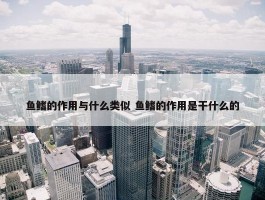 鱼鳍的作用与什么类似 鱼鳍的作用是干什么的