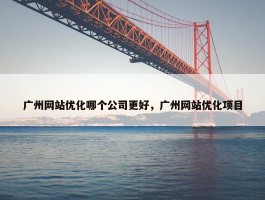 广州网站优化哪个公司更好，广州网站优化项目