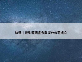 快讯｜元生源因宣布武汉分公司成立