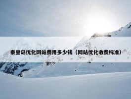 秦皇岛优化网站费用多少钱（网站优化收费标准）