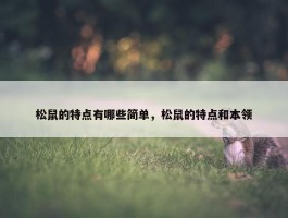 松鼠的特点有哪些简单，松鼠的特点和本领