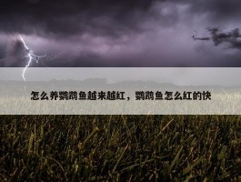 怎么养鹦鹉鱼越来越红，鹦鹉鱼怎么红的快