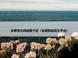 合肥优化网站哪个好（合肥网站优化平台）