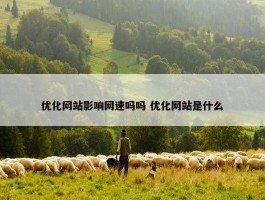 优化网站影响网速吗吗 优化网站是什么