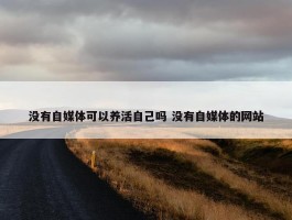 没有自媒体可以养活自己吗 没有自媒体的网站