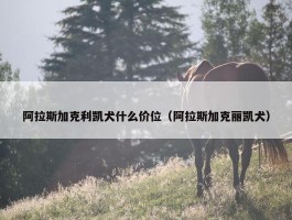 阿拉斯加克利凯犬什么价位（阿拉斯加克丽凯犬）