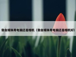 做自媒体用电脑还是相机（做自媒体用电脑还是相机好）