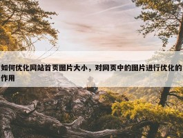 如何优化网站首页图片大小，对网页中的图片进行优化的作用