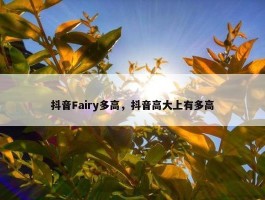 抖音Fairy多高，抖音高大上有多高