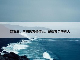 赵牧辰：不想伤害任何人，却伤害了所有人