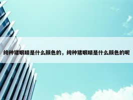 纯种猪眼睛是什么颜色的，纯种猪眼睛是什么颜色的呢