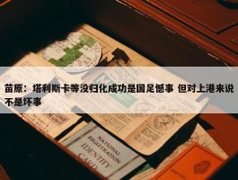 苗原：塔利斯卡等没归化成功是国足憾事 但对上港来说不是坏事