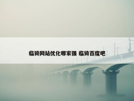 临猗网站优化哪家强 临猗百度吧