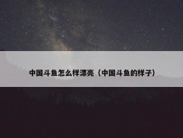 中国斗鱼怎么样漂亮（中国斗鱼的样子）