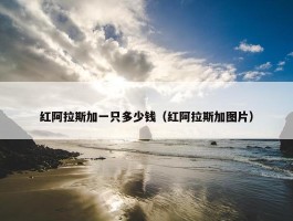 红阿拉斯加一只多少钱（红阿拉斯加图片）