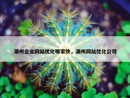 潮州企业网站优化哪家快，潮州网站优化公司