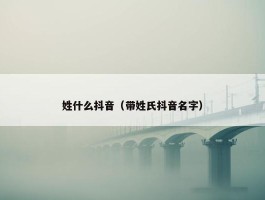 姓什么抖音（带姓氏抖音名字）