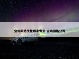 宝鸡网站优化哪家专业 宝鸡网络公司