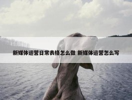 新媒体运营日常表格怎么做 新媒体运营怎么写