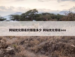 网站优化排名价格是多少 网站优化排名seo