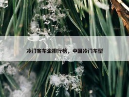 冷门客车企排行榜，中国冷门车型