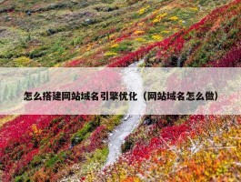 怎么搭建网站域名引擎优化（网站域名怎么做）