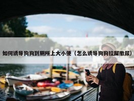 如何诱导狗狗到厕所上大小便（怎么诱导狗狗拉屎撒尿）