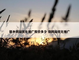 新乡网站优化推广报价多少 做网站优化推广