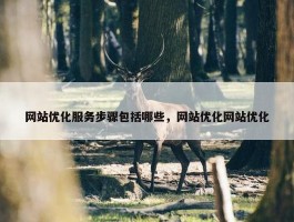 网站优化服务步骤包括哪些，网站优化网站优化