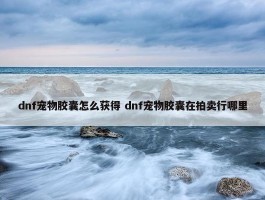 dnf宠物胶囊怎么获得 dnf宠物胶囊在拍卖行哪里