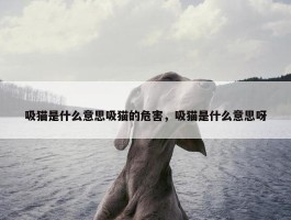 吸猫是什么意思吸猫的危害，吸猫是什么意思呀