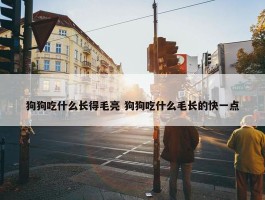 狗狗吃什么长得毛亮 狗狗吃什么毛长的快一点