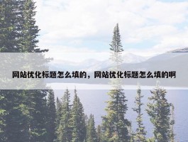 网站优化标题怎么填的，网站优化标题怎么填的啊