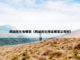 网站优化有哪家（网站优化排名哪家公司好）